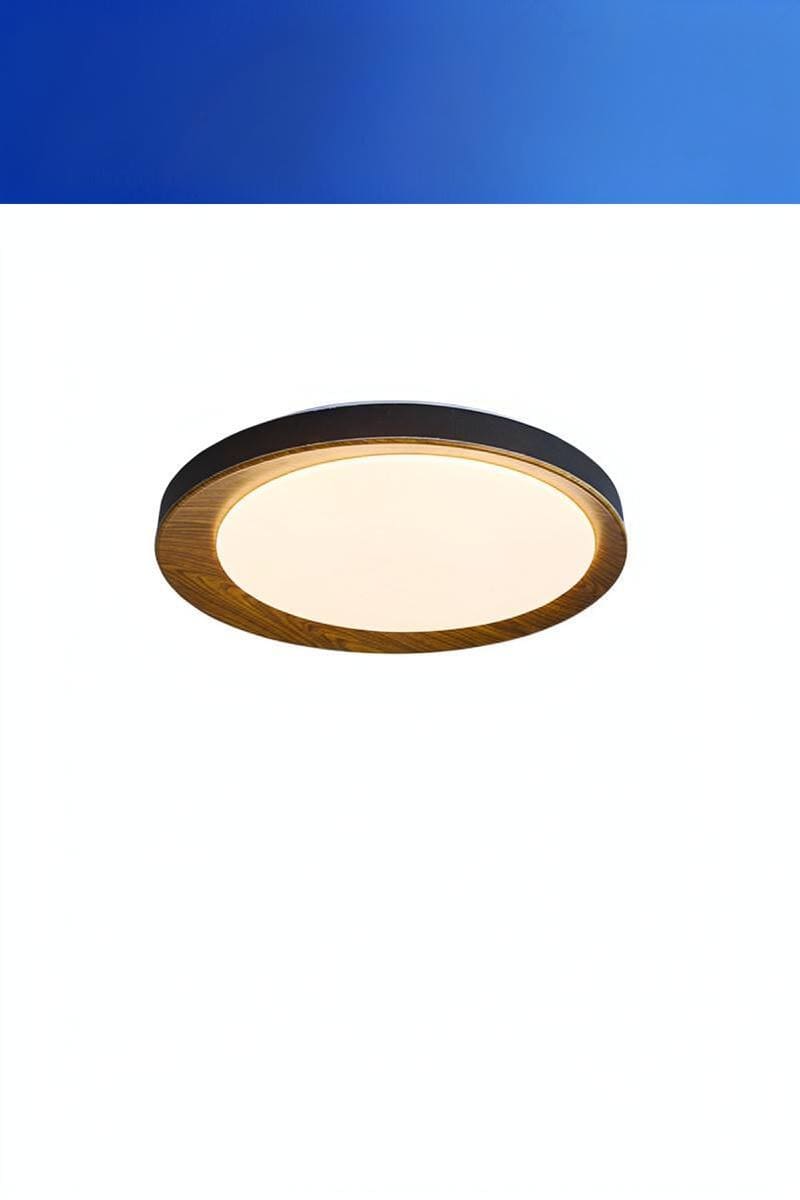 Meister | Ceiling Mounted Light - Detail View #2 | HomeCartel