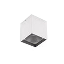 Cowrie | Surface Mounted Light