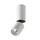 Jontell | Surface Mounted Spotlight