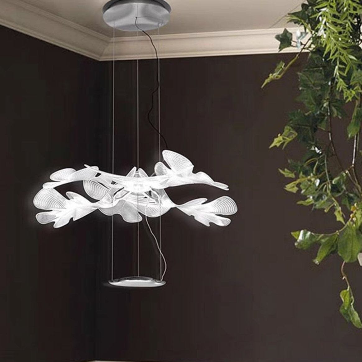 Ankeli | Modern Glass Chandelier - Home Cartel ®