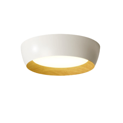 Colby | Ceiling Mounted Light - Home Cartel ®