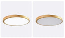 Denby Ceiling Mounted Light