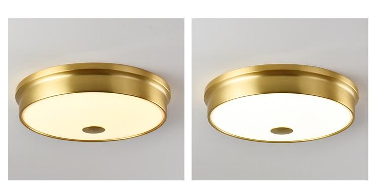 Gus | Ceiling Mounted Light - Home Cartel ®