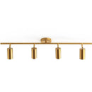 Asva 4 Heads | Brass Track Light - Home Cartel ®