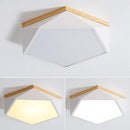 Tundra | 2 Color Ceiling Mounted Light
