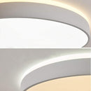 Upleva | 2 Color Ceiling Mounted Light