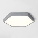 Trolig | 2 Color Ceiling Mounted Light