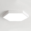 Trolig | 2 Color Ceiling Mounted Light