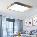 Rugga | 2 Color Ceiling Mounted Light