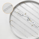 Upleva | 2 Color Ceiling Mounted Light