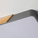 Rugga | 2 Color Ceiling Mounted Light