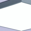 Trolig | 2 Color Ceiling Mounted Light