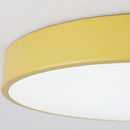 Valby | 2 Color Ceiling Mounted Light
