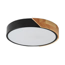 Vila | 2 Color Ceiling Mounted Light
