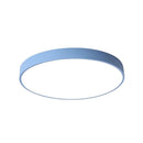Valby | 2 Color Ceiling Mounted Light