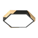 Trandal  | 2 Color Ceiling Mounted Light