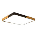 Rugga | 2 Color Ceiling Mounted Light