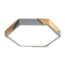 Trandal  | 2 Color Ceiling Mounted Light