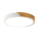 Vila | 2 Color Ceiling Mounted Light