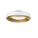 Skye | Ceiling Mounted Light