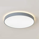 Upleva | 2 Color Ceiling Mounted Light