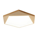 Tundra | 2 Color Ceiling Mounted Light