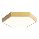 Trolig | 2 Color Ceiling Mounted Light