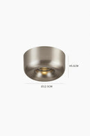 Darielth I Ceiling Mounted Light