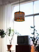 Aeranthra I Pendant Light