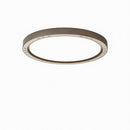 Nahrwold | Ceiling Mounted Light