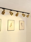 Brelvarae Deux | Track Light