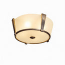Thalroen I Retro Ceiling Mounted Light