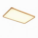Drennale R | Ceiling Mounted Light