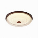 Elthain C | Ceiling Mounted Light
