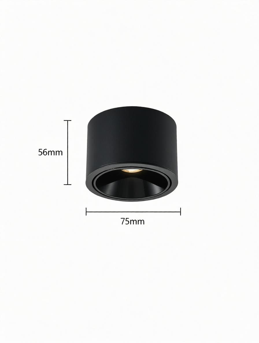 Jonvaleriae | Surface Mounted Light
