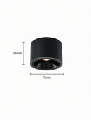 Jonvaleriae | Surface Mounted Light