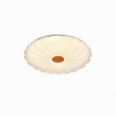 Ryrenthia | Ceiling Mounted Light