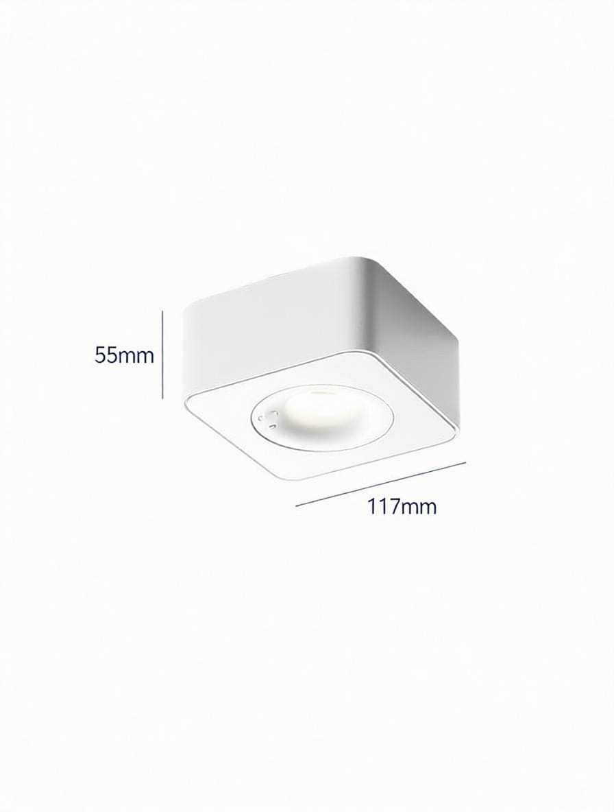 Torvalynor | Surface Mounted Light