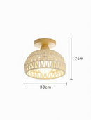 Farlon Une | Semi Flush Mounted Light