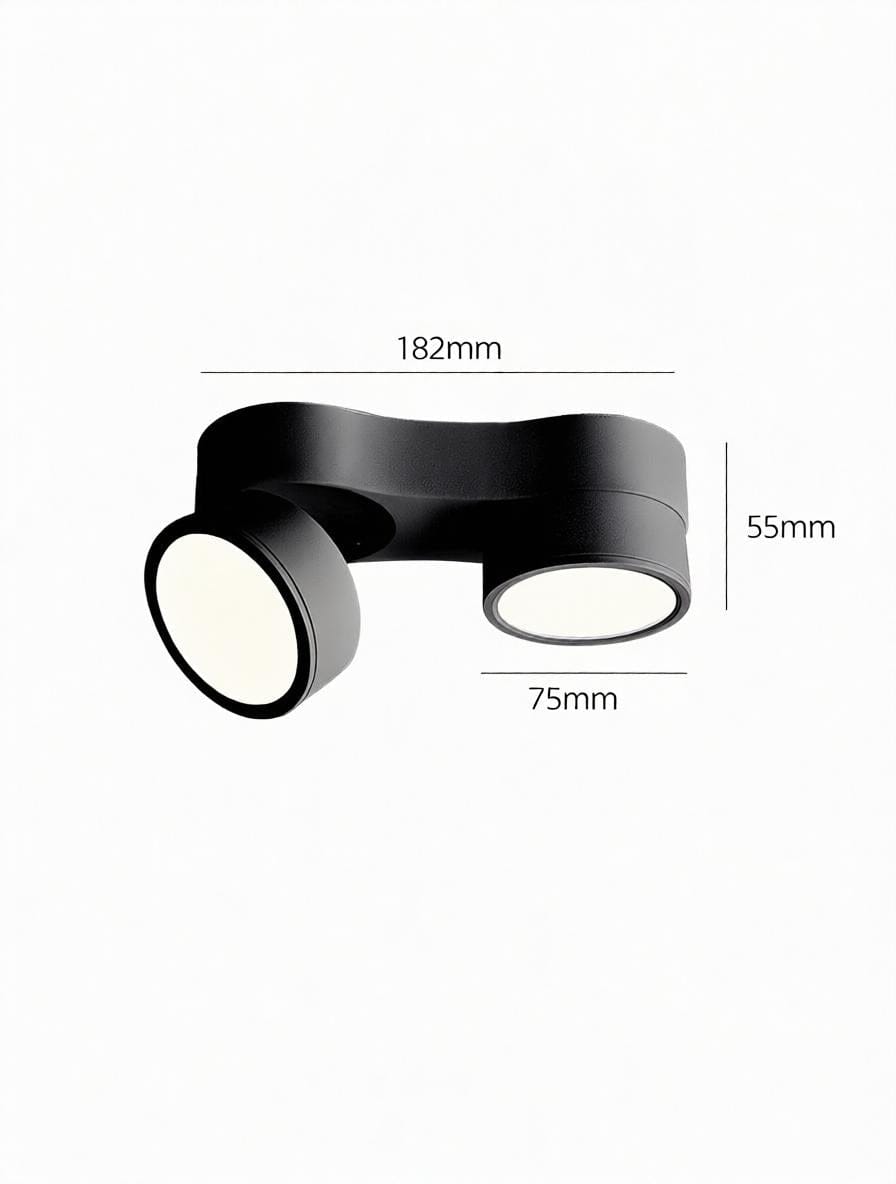 Kelryssarae | Surface Mounted Light