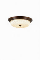 Venysira | Ceiling Mounted Light