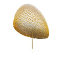 Attraction | Modern LED Cluster Chandelier