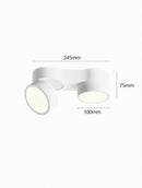 Kelryssarae | Surface Mounted Light