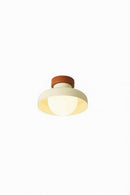 Silvaine I Semi Flush Mounted Light