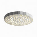 Vinelorn | Ceiling Mounted Light