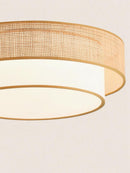 Drenetha | Ceiling Mounted Light