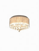 Obrenix | Ceiling Mounted Light