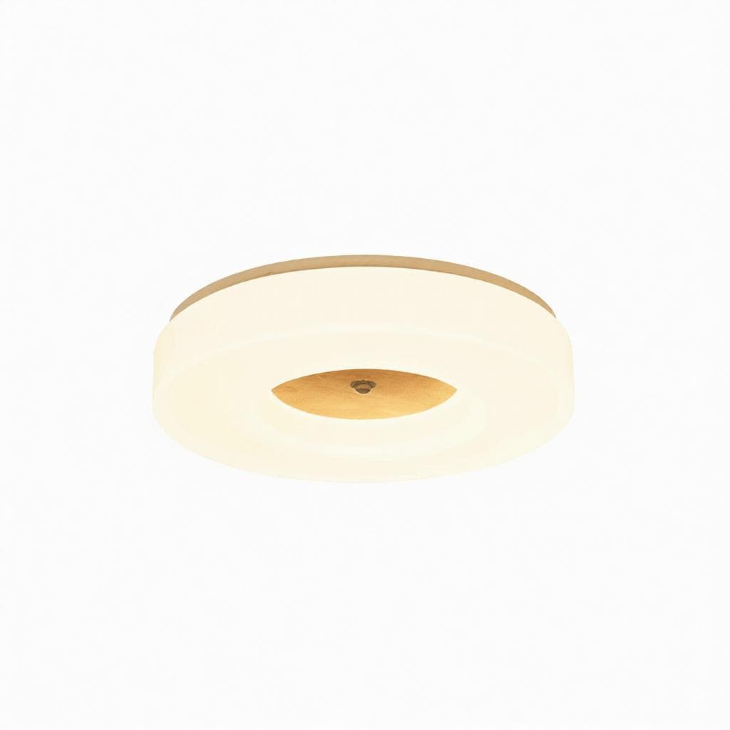 Lirianne | Ceiling Mounted Light - Detail View #8 | HomeCartel