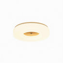 Lirianne | Ceiling Mounted Light