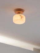 Vylenora B I Semi Flush Mounted Light